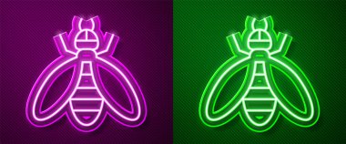 Parlayan neon çizgi simgesi mor ve yeşil arkaplanda izole edilmiş. Tatlı doğal yemek. Bal arısı ya da kanat sembollü apis. Uçan böcek. Vektör.