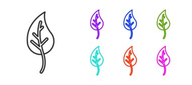 Siyah çizgi Yaprak simgesi beyaz arkaplanda izole edildi. İşaret bırakıyor. Taze doğal ürün sembolü. Simgeleri renklendirin. Vektör.