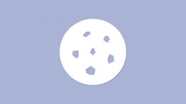 Mor arka planda izole edilmiş çikolatalı kurabiye ya da bisküvi. 4K Video hareketli grafik canlandırması