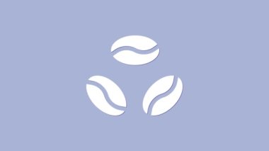 Beyaz kahve çekirdeği ikonu mor arkaplanda izole edilmiş. 4K Video hareketli grafik canlandırması