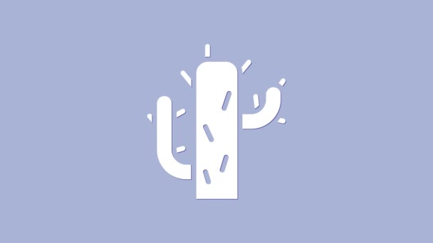 Ikona białego kaktusa odizolowana na fioletowym tle. 4K Animacja graficzna ruchu wideo — Wideo stockowe
