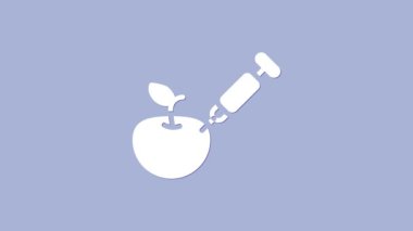Mor arka planda izole edilmiş, genetik olarak değiştirilmiş elma ikonu. GDO meyvesi. Elmaya şırınga enjekte ediliyor. 4K Video hareketli grafik canlandırması