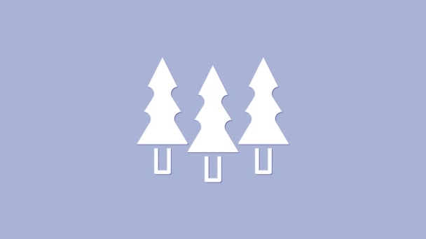 Ikona białych drzew odizolowana na fioletowym tle. Symbol lasu. 4K Animacja graficzna ruchu wideo — Wideo stockowe