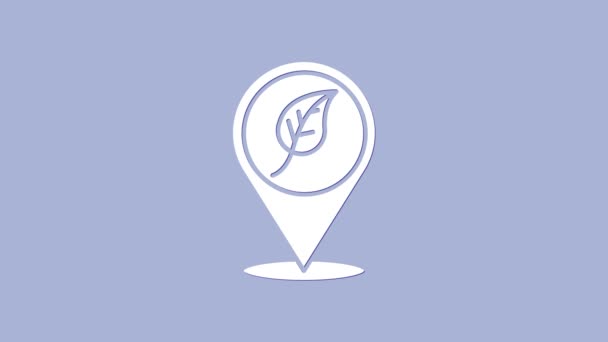 Ubicación blanca con icono de hoja aislada sobre fondo púrpura. Concepto de energía ecológica. Concepto de energía alternativa. Animación gráfica de vídeo 4K — Vídeo de stock