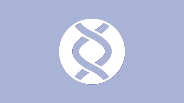 Icono símbolo de ADN blanco aislado sobre fondo púrpura. Ingeniería genética, pruebas genéticas, clonación, pruebas de paternidad. Animación gráfica de vídeo 4K — Vídeo de stock