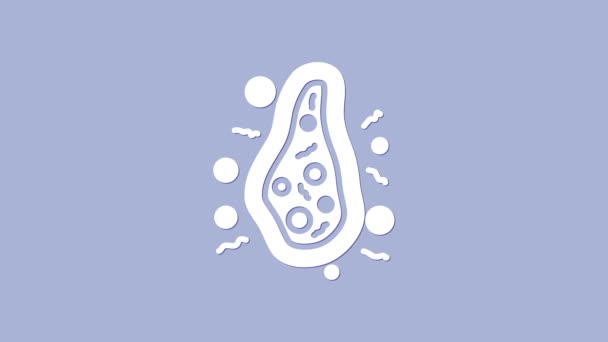 Icona dei batteri bianchi isolata su sfondo viola. Batteri e germi, malattia del microrganismo che causa, cancro alle cellule, microbo, virus, funghi. Animazione grafica 4K Video motion — Video Stock