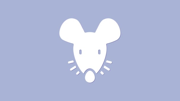 Icône de souris expérimentale blanche isolée sur fond violet. Animation graphique de mouvement vidéo 4K — Video