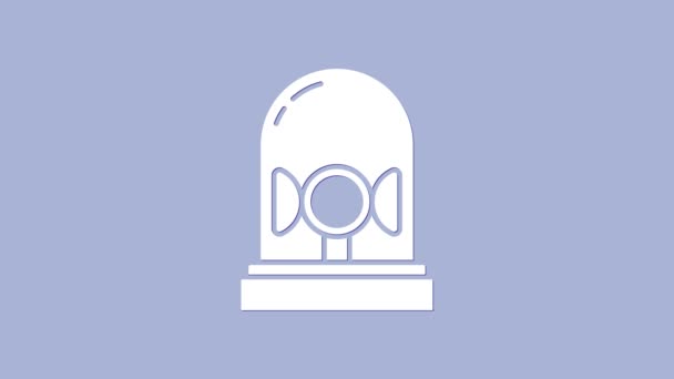 Символ сирены белой вспышки выделен на фиолетовом фоне. Аварийная сирена. Видеографическая анимация 4K — стоковое видео