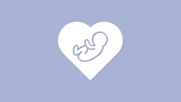 White Baby uvnitř srdce ikona izolované na fialovém pozadí. Grafická animace pohybu videa 4K — Stock video