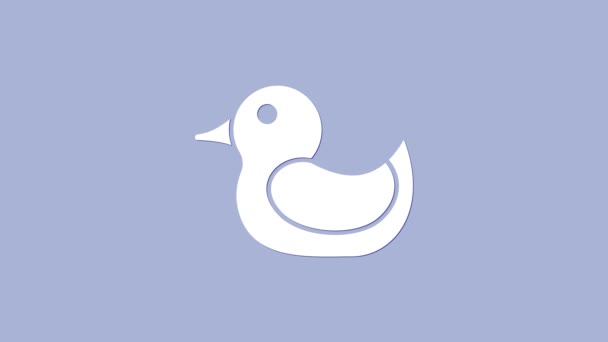 Mor arkaplanda beyaz plastik ördek ikonu var. 4K Video hareketli grafik canlandırması — Stok video