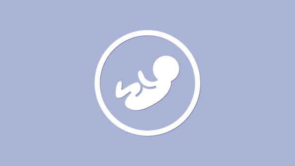 白色婴儿图标孤立在紫色背景。4K视频运动图形动画 — 图库视频影像