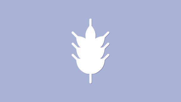 Icono de White Hop aislado sobre fondo púrpura. Animación gráfica de vídeo 4K — Vídeo de stock