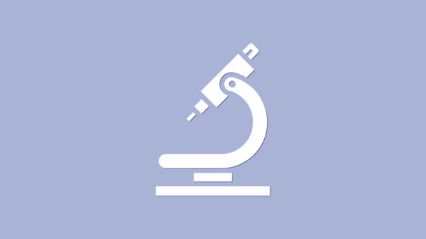 Weißes Mikroskop-Symbol isoliert auf violettem Hintergrund. Chemie, pharmazeutisches Instrument, mikrobiologisches Vergrößerungswerkzeug. 4K Video Motion Grafik Animation — Stockvideo
