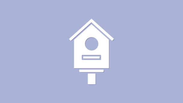 Icono de la casa White Bird aislado sobre fondo morado. Caja de anidación pajarera, edificio casero para pájaros. Animación gráfica de vídeo 4K — Vídeos de Stock