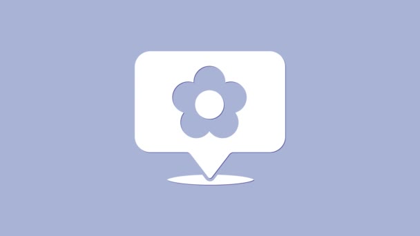 Fehér Helyszín virág ikon elszigetelt lila háttér. 4K Videó mozgás grafikus animáció — Stock videók