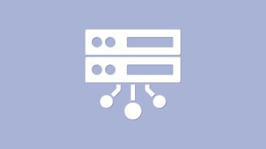 Beyaz Sunucu, Data, Web sunucu simgesi mor arkaplanda izole edildi. 4K Video hareketli grafik canlandırması