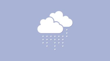 Mor arka planda izole edilmiş yağmur ikonu olan beyaz bulut. Yağmur damlaları ile yağmur bulutu yağışı. 4K Video hareketli grafik canlandırması