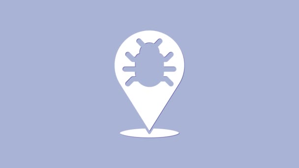 White System bug concept icon izolat pe fundal violet. Cod bug concept. Bug în sistem. Căutarea gândacilor. 4K Animație grafică în mișcare video — Videoclip de stoc