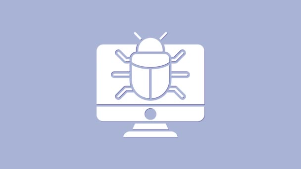White System bug on monitor icon isolated on purple background. Code bug concept. Bug in the system. Bug searching. 4K Video motion graphic animation — Stock Video