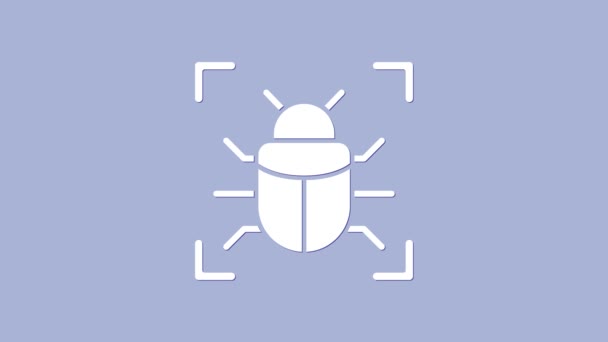 White System Bug Concept Symbol isoliert auf violettem Hintergrund. Code Bug Konzept. Fehler im System. Fehlersuche. 4K Video Motion Grafik Animation — Stockvideo