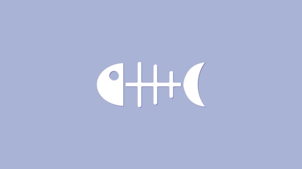 Fehér hal csontváz ikon elszigetelt lila háttér. Halcsont jel. 4K Videó mozgás grafikus animáció — Stock videók