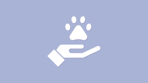 Bílé ruce s ikonou zvířecí stopy izolované na fialovém pozadí. Zvířecí tlapa v srdci. S láskou ke zvířatům. Grafická animace pohybu videa 4K