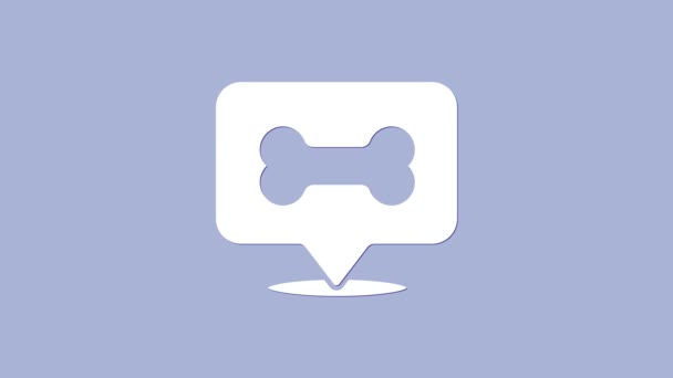Bílý pes kostní ikona izolované na fialovém pozadí. Symbol potravy pro zvířata. Grafická animace pohybu videa 4K — Stock video