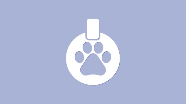 Collar blanco con icono de etiqueta de nombre aislado sobre fondo púrpura. Suministros para animales domésticos. Huella de pata de perro o gato. Cuidado de gatos y perros. Cadenas para mascotas. Animación gráfica de vídeo 4K — Vídeos de Stock