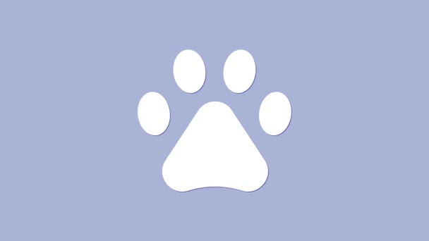 Icono de impresión de pata blanca aislado sobre fondo púrpura. Huella de pata de perro o gato. Rastreo animal. Animación gráfica de vídeo 4K — Vídeo de stock