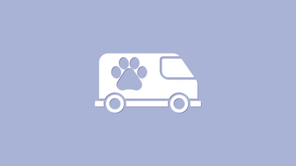 Белая икона ветеринарной скорой помощи выделена на фиолетовом фоне. Символ ветеринарной клиники. Видеографическая анимация 4K — стоковое видео