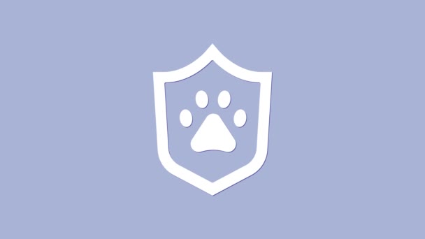 Icono del seguro de salud White Animal aislado sobre fondo púrpura. Concepto de protección de mascotas. Huella de pata de perro o gato. Animación gráfica de vídeo 4K — Vídeo de stock