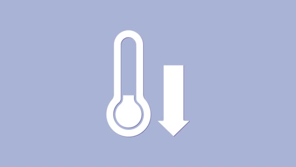 Beyaz Meteoroloji termometresi mor arkaplanda izole edilmiş ikonu ölçüyor. Termometre termometresi sıcak ya da soğuk hava gösteriyor. 4K Video hareketli grafik canlandırması — Stok video