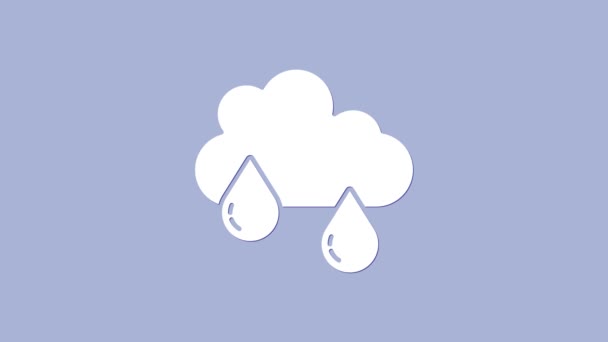 Белый с иконой дождя на фиолетовом фоне. Осадки дождевых облаков с капельками дождя. Видеографическая анимация 4K — стоковое видео