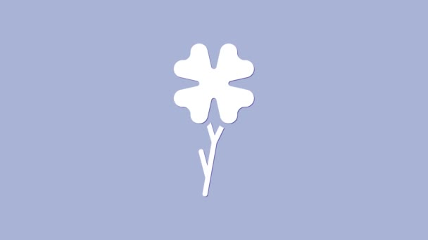 Blanco Icono de trébol de cuatro hojas aislado sobre fondo púrpura. Feliz día de San Patricio. Animación gráfica de vídeo 4K — Vídeos de Stock