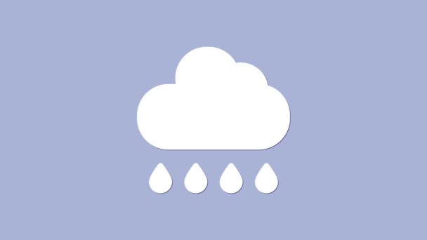 Vit moln med regn ikon isolerad på lila bakgrund. Regn moln nederbörd med regndroppar. 4K Video motion grafisk animation — Stockvideo