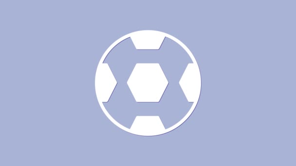 Λευκό εικονίδιο μπάλα ποδοσφαίρου απομονώνονται σε μωβ φόντο. Μπάλα ποδοσφαίρου. Αθλητικός εξοπλισμός. 4K Γραφική κίνηση κίνησης βίντεο — Αρχείο Βίντεο