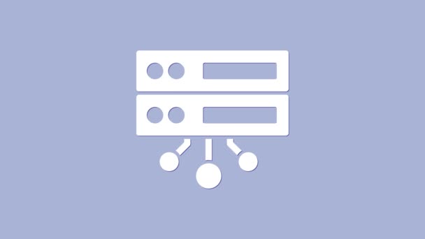 Bílý server, Data, Web Hosting ikona izolované na fialovém pozadí. Grafická animace pohybu videa 4K — Stock video