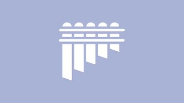 Beyaz Pan flüt simgesi mor arkaplanda izole edilmiş. Geleneksel Peru müzik aleti. Zampona. Peru, Bolivya ve Meksika 'dan halk enstrümanı. 4K Video hareketli grafik canlandırması