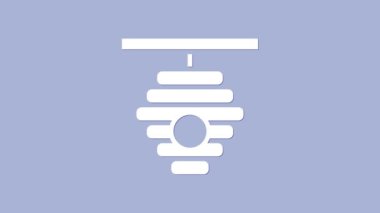 Mor arka planda izole edilmiş arılar için beyaz kovan. Arı kovanı sembolü. Apiary ve arı yetiştiriciliği. Tatlı doğal yemek. 4K Video hareketli grafik canlandırması