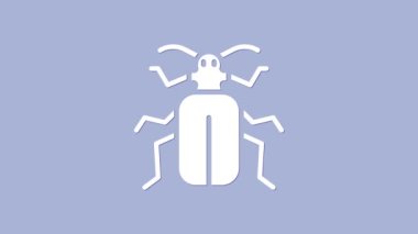 Beyaz Chafer böceği simgesi mor arkaplanda izole edildi. 4K Video hareketli grafik canlandırması