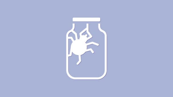 Araña blanca en icono del frasco aislado sobre fondo púrpura. Feliz fiesta de Halloween. Animación gráfica de vídeo 4K — Vídeos de Stock
