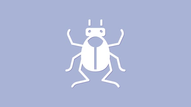 Beyaz Böcek simgesi mor arkaplanda izole edildi. 4K Video hareketli grafik canlandırması — Stok video