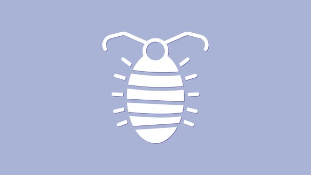 Icona di insetto Larva bianca isolata su sfondo viola. Animazione grafica 4K Video motion — Video Stock