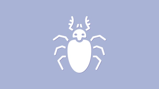 White Beetle Hirsch Symbol isoliert auf violettem Hintergrund. Hörnerkäfer. Großes Insekt. 4K Video Motion Grafik Animation