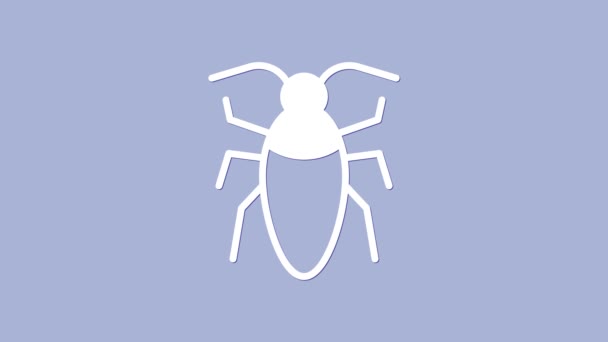 White Cockroach icon isolated on purple background. 4K Video motion graphic animation — Stock Video