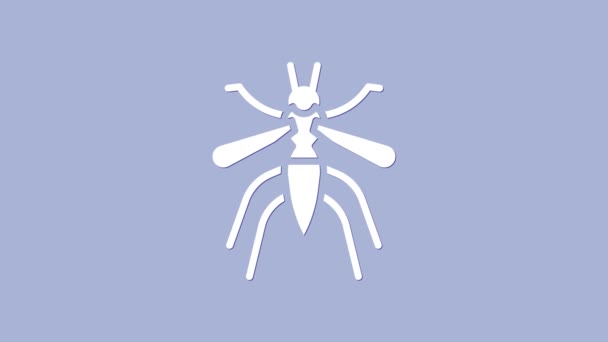 White Mosquito icon isolated on purple background. 4K Video motion graphic animation — Stock Video