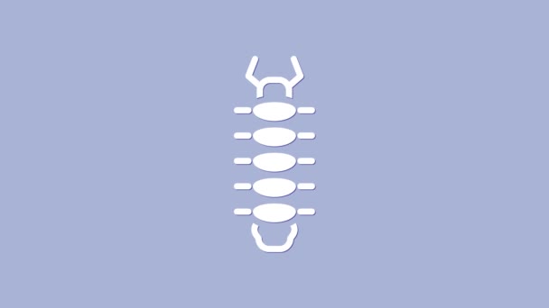 Biała ikona owada stonogi wyizolowana na fioletowym tle. 4K Animacja graficzna ruchu wideo — Wideo stockowe