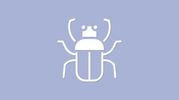 White Stink bug icon izolat pe fundal violet. 4K Animație grafică în mișcare video — Videoclip de stoc