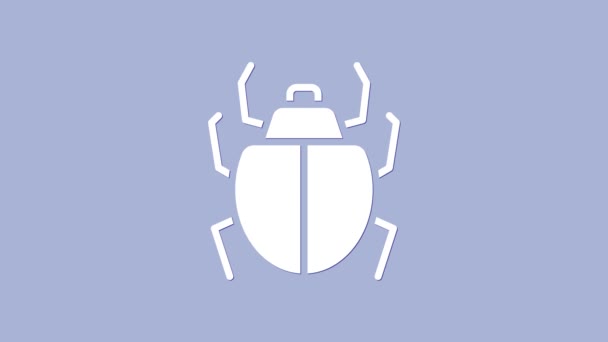 White Mite icon isolated on purple background. 4K Video motion graphic animation — Stock Video