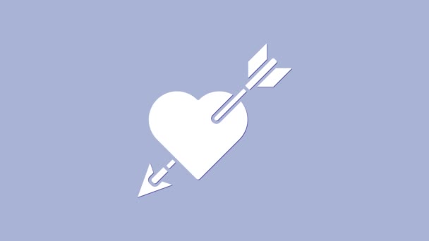 紫色の背景にハートと矢印のアイコンが隔離されたホワイトアミュールのシンボル。愛のサインだ。バレンタインシンボル。4Kビデオモーショングラフィックアニメーション — ストック動画